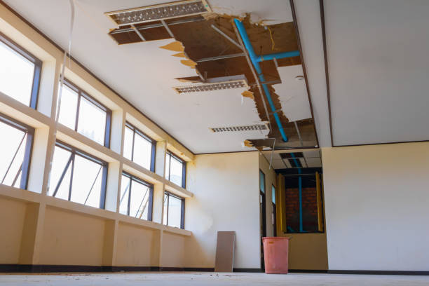 Best Water damage cleanup near me  in East Riverdale, MD
