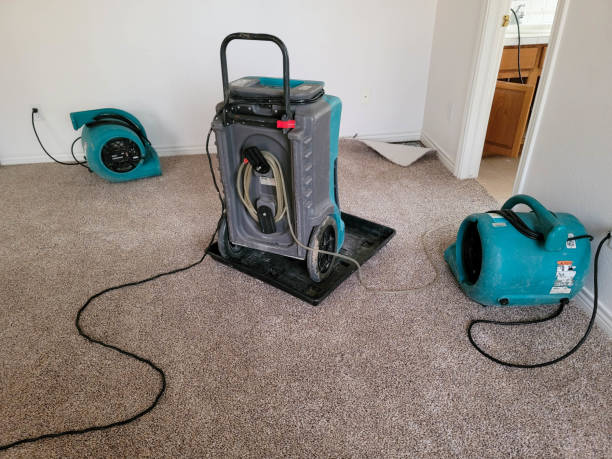 Reliable East Riverdale, MD Water damage restoration Solutions