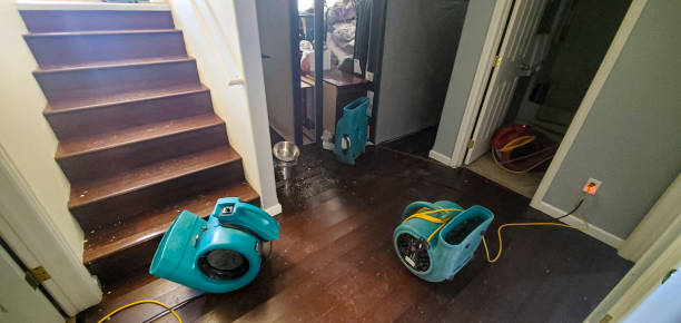 Best Flood damage cleanup  in East Riverdale, MD