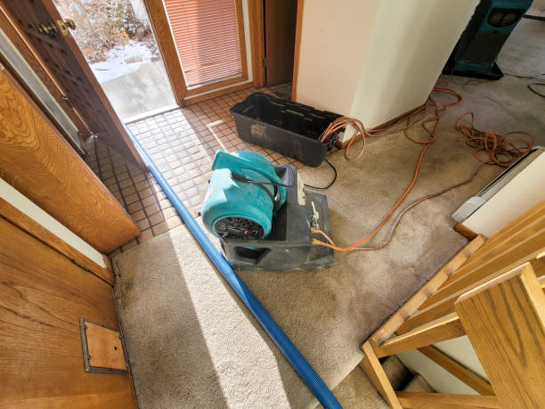 Trusted East Riverdale, MD Water damage restoration Experts