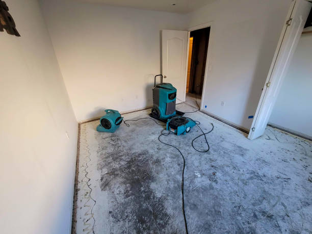 Water damage restoration experts in East Riverdale, MD