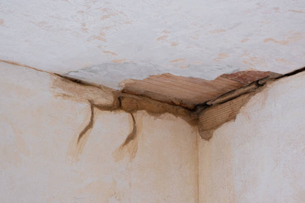 Best Water damage restoration near me  in East Riverdale, MD
