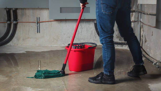 Best Professional water damage repair  in East Riverdale, MD