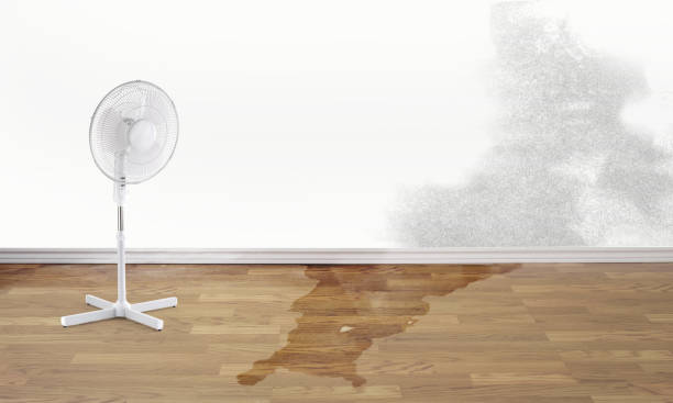 Best Water damage restoration experts  in East Riverdale, MD