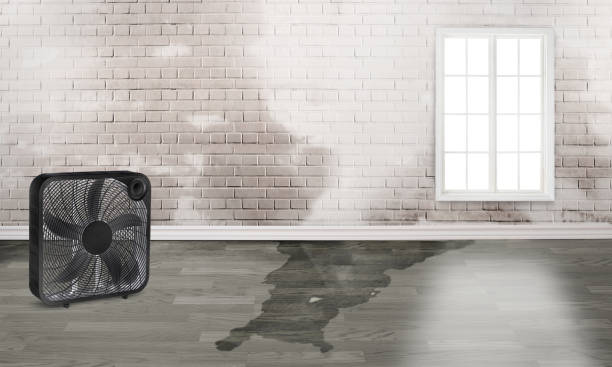Water damage restoration insurance claims in East Riverdale, MD