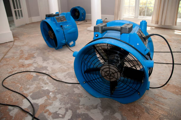 Best Flood restoration services  in East Riverdale, MD