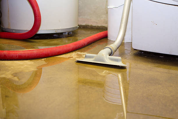 Best Carpet water damage restoration  in East Riverdale, MD