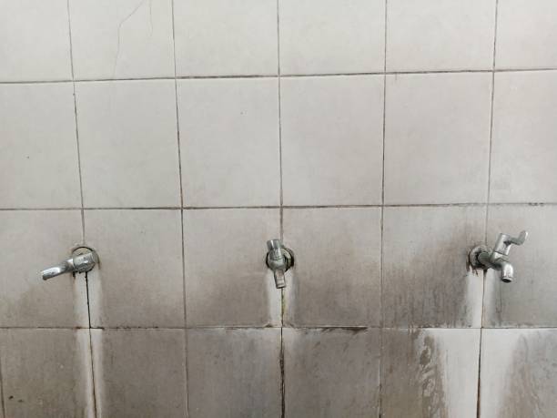  East Riverdale, MD Water damage restoration Pros
