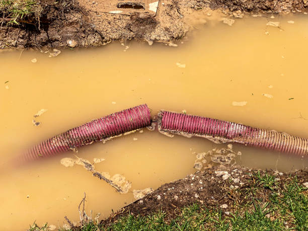Best Residential water damage restoration  in East Riverdale, MD